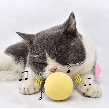 Purrfect Smart Cat Ball