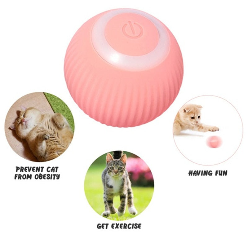Purrfect Smart Cat Ball