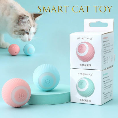 Purrfect Smart Cat Ball