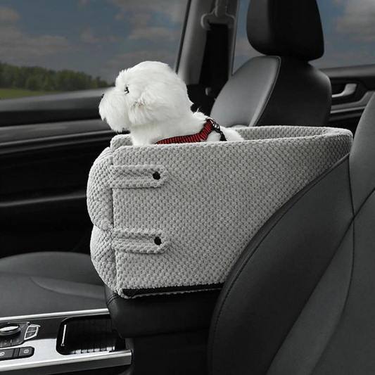 Armrest Pet Safety Seat by Bloomcar